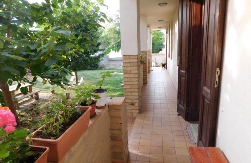 Alsonyek Bed & Breakfast | Vadászkürt Vendégfogadó
