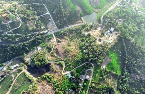 Vagamon Villa | Vagamon forest canopy