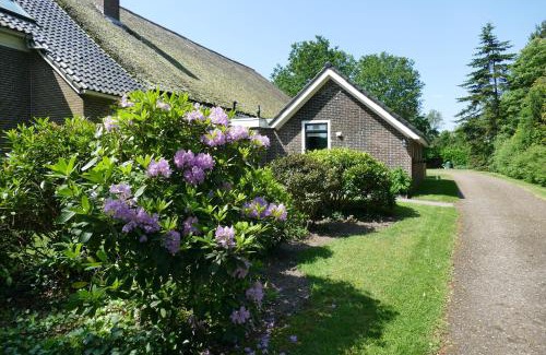 Kostvlies House | Vakantiewoning 't Stookhok Gasselte