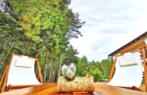 Tempio Pausania Hotel | Vallicciola Nature Hotel