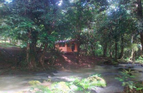 Sarapiqui Cabin | Vanilla Jungle Lodge - Rainforest Waterfall Garden