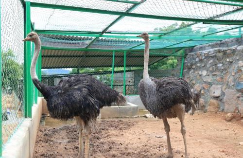 Kanakapura House | Vara Farm