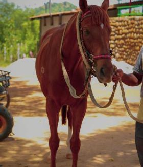 Kanakapura House | Vara Farm