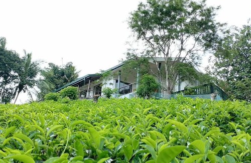Katukitula House | Varanda With A View