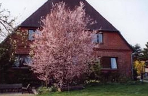 Kittlitz Apartment | Variante 3: Ferienwohnung, 3 Schlafzimmer - Hof am See