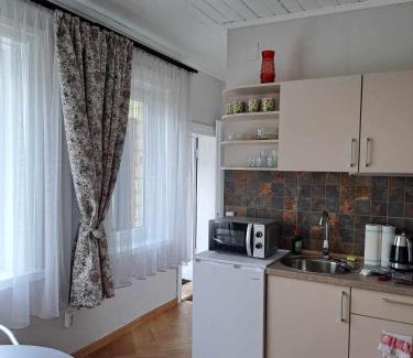 Zarasai Apartment | Vasarnamis Zarasuose - Vyšnia