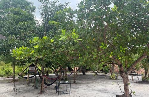 Koh Rong Other | Veha Koh Rong