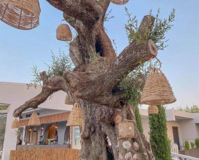 Tsilivi Resort | Venus Resort