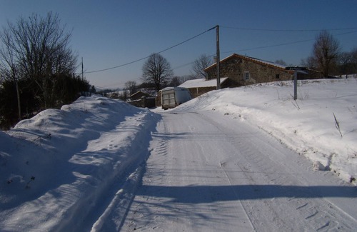 Felines House | Very comfortable gîte, accessible to people with reduced mobility