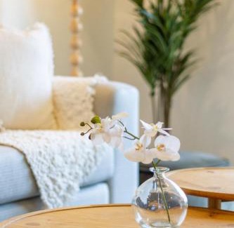 Christchurch City Centre Apartment | Vibrant Central Christchurch Pad 2 bed 1 bath with park