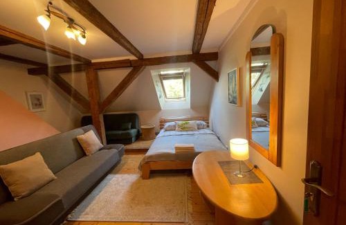 Zemgale House | Viesu nams Vijas