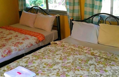 Wang Nam Khiao Resort | Viewsuay Farsai Wangnamkaew