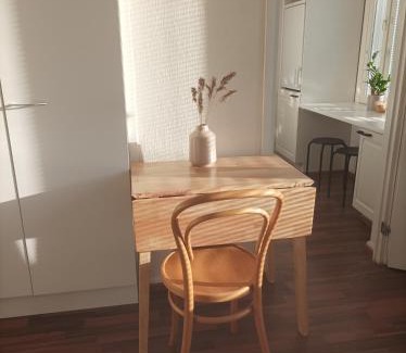 Heinola Apartment | Viihtyisä ja valoisa yksiö keskustan läheisyydessä