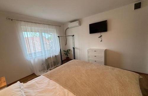 Emanoil Gojdu House | Vila Daddy