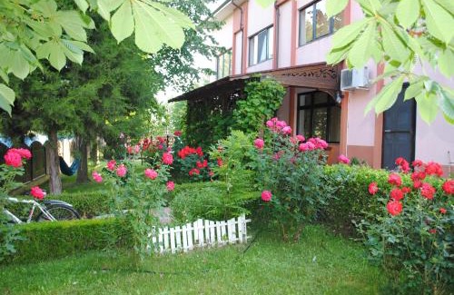 Mila 23 House | Vila Delta Travel - Mila 23