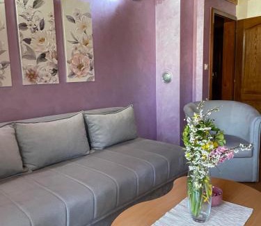 Mitrovac Apartment | Vila Malisevac