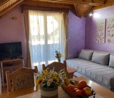 Mitrovac Apartment | Vila Malisevac