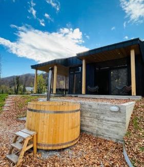 Valea Doftanei Villa | Vila Nura
