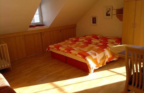 Pozlovice House | Vila Patricie