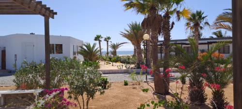 Rabil Villa | Vilas Praia de Chaves - sol y mar STANDART