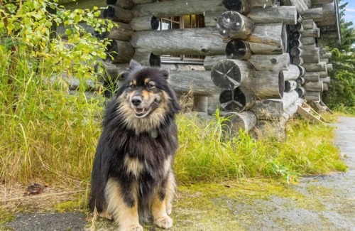 Syote House | Vilkkuna 20 a by Interhome