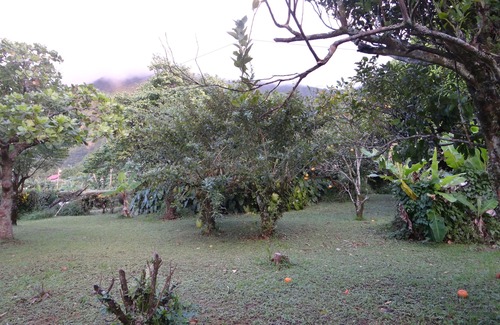 Le Morne-Vert House | Villa, 3 bedrooms in quiet wooded and flowered area - sea and countryside views