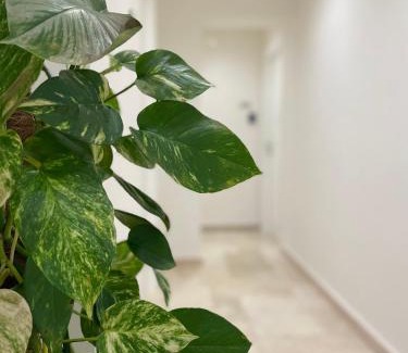 Rossano Apartment | Villa Achiropita
