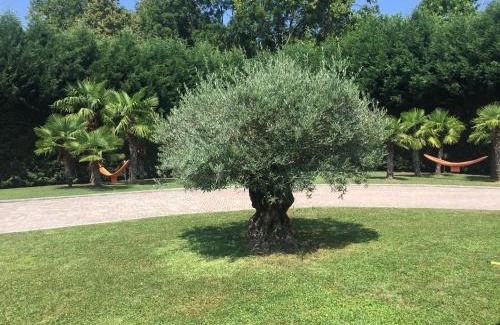 Ronago House | Villa Althea