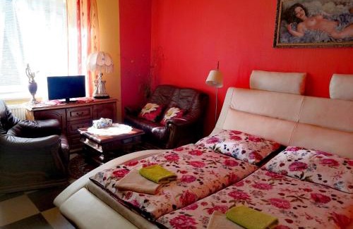 Karlovy Vary House | Villa Anastazis - Penzion Eden