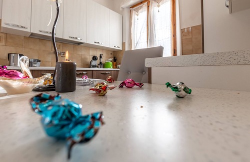 San Giovanni d'Asso Apartment | Villa "Casa Luisa"nvery welcoming apartment, pets are allowed