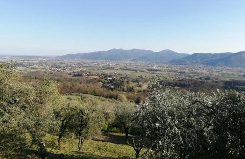 Lucca Villa | Villa Casetta