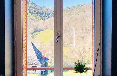 Saint-Nectaire House | "Villa Châteauneuf" Large independent house with garden and private parking