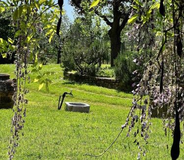 Le Piazze Villa | Villa Elena Tuscany - Pool & Garden Arezzo - IHH