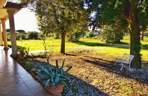 Puntone House | Villa Eucalipti