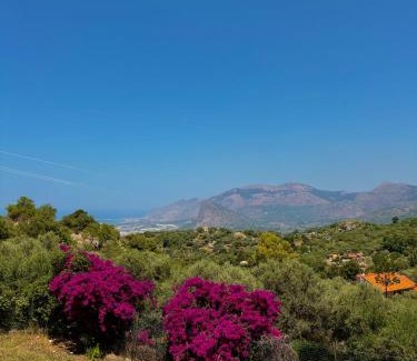 Carini House | Villa Falco
