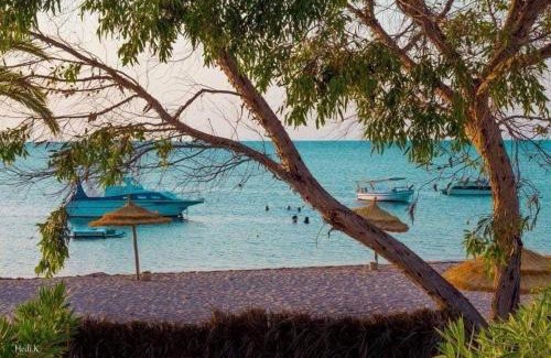Dar Allouche Villa | Villa familiale Avec piscine Dar Allouche S4
