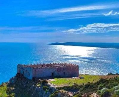 Dar Allouche Villa | Villa familiale Avec piscine Dar Allouche S4