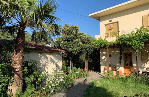 Apokoronas Villa | VILLA FATIMA