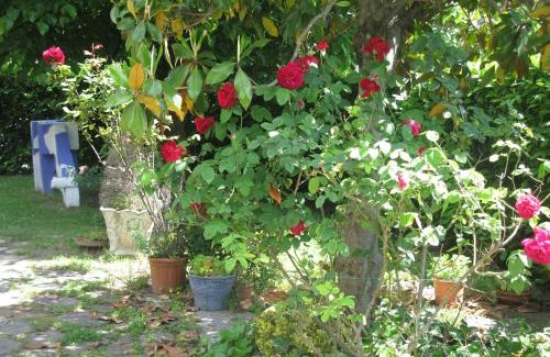 Bagno di Romagna Villa | villa gesualda