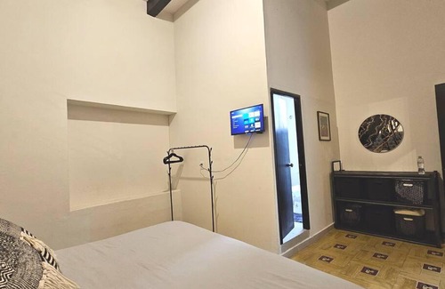 Zona Centro Apartment | Villa Golondrinas, in Main Downtown, with A/C and Free Parking!
