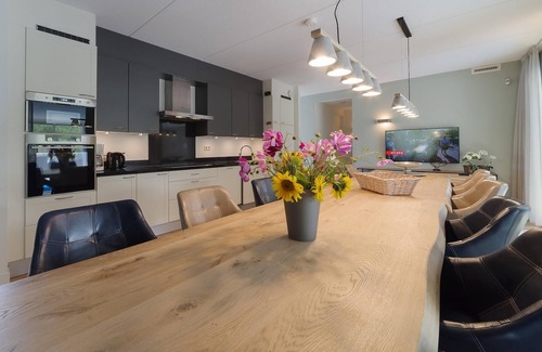 Colijnsplaat House | Villa in Colijnsplaat with Private Pool & Sauna