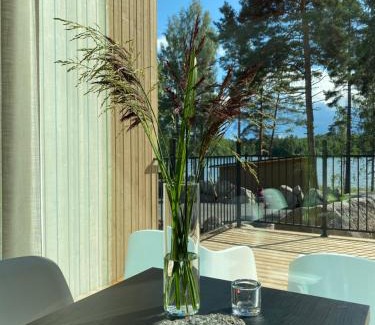 Valkeakoski Villa | Villa Kivi