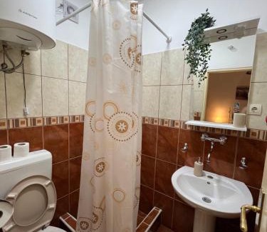 Tomicici Apartment | Villa Ksenija apartment