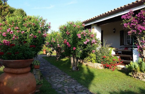 Santa Teresa di Gallura Villa | Villa La Liccia Misia :Comfort, hospitality and well-being for the whole family