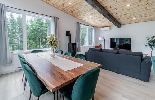 Shannon Ski Chalet | Villa Le Frigg spa swimming pool