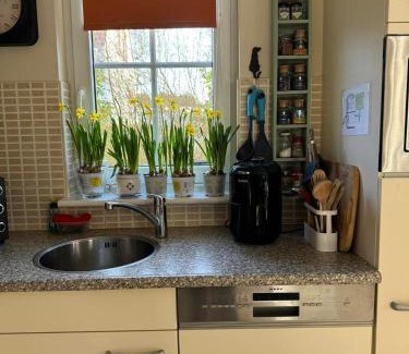 Ferienpark Gut Langen House | Villa Mina