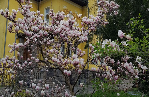 Schorfheide Villa | Villa mit 13 Schlafzimmern & Vielen Freizeitmöglichkeiten in der Schorfheide