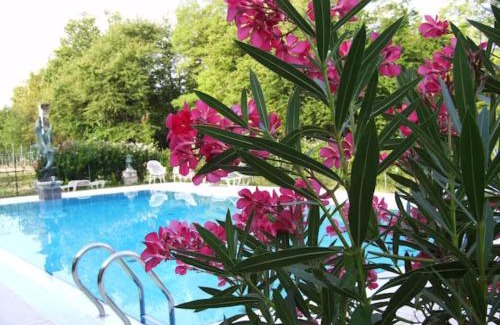 Rovare Apartment | Villa Navagero Erizzo - Ca' Dei Pasin A