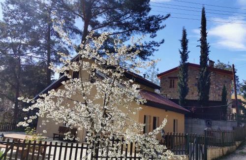 Platres Villa | VILLa PERSEPHONE