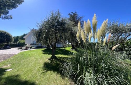 Santarcangelo di Romagna Villa | Villa Pronti Santarcangelo - Rimini